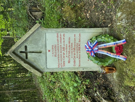 VENEC V ČEŠNJICAH PRI MORAVČAH